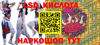 прущие крисы Камышлов