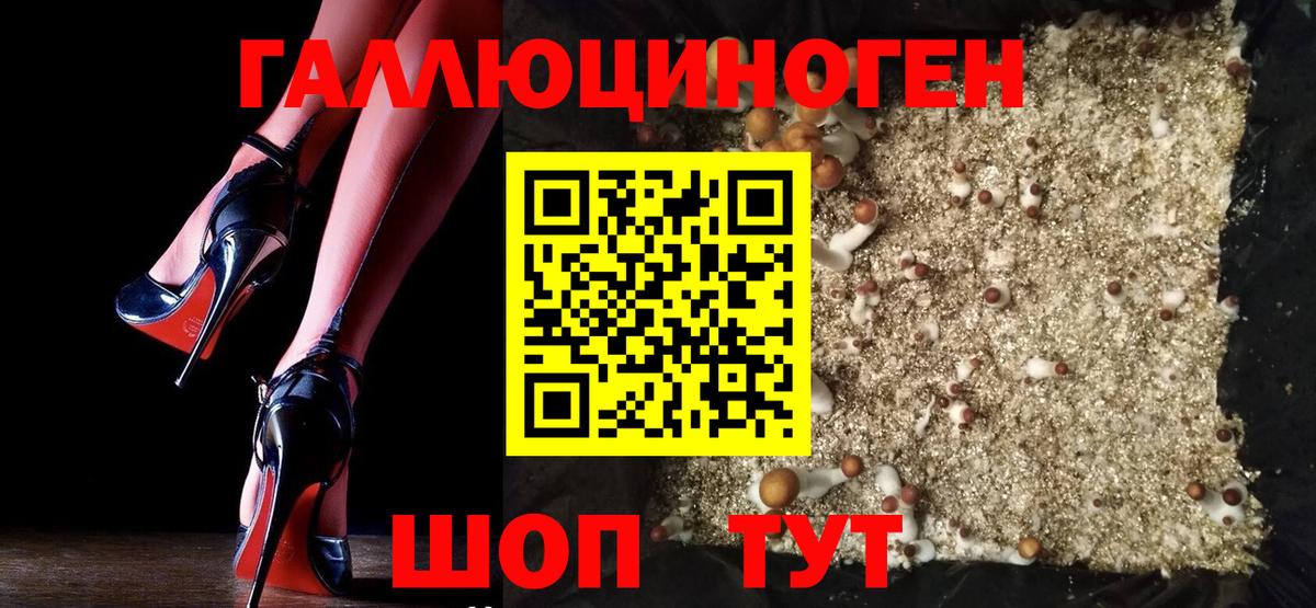 Псилоцибиновые грибы мицелий  Псилоцибиновые грибы прущие грибы  Якутск  Вход с VPN 