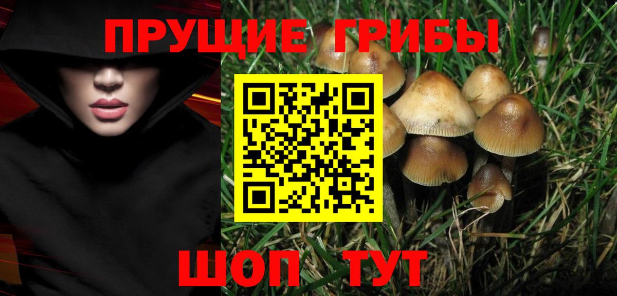 Псилоцибиновые грибы Cubensis Якутск